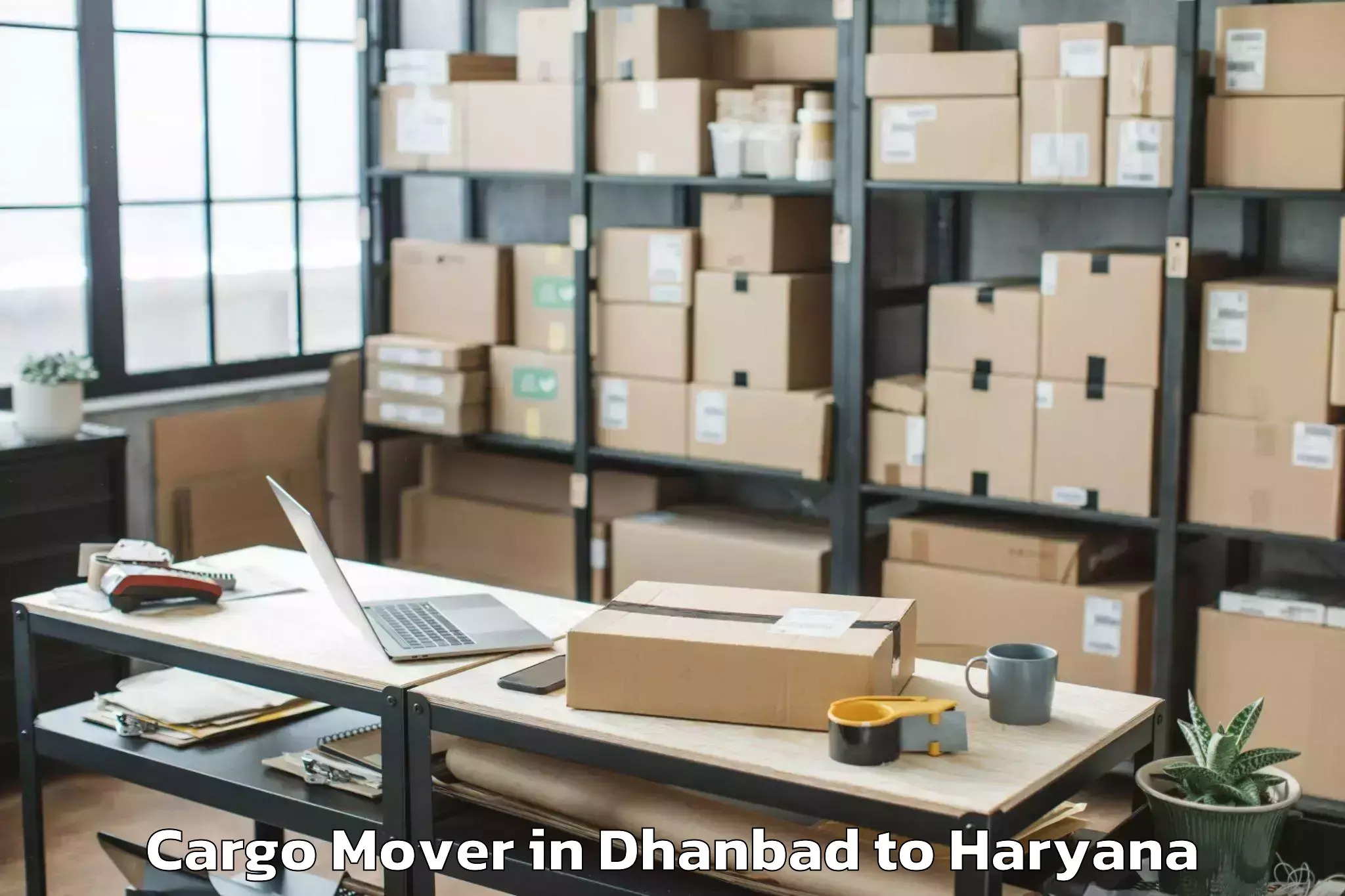 Professional Dhanbad to Hansi Cargo Mover